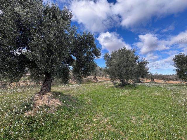 Terreno en venta en Matarraña / Matarranya, Valjunquera