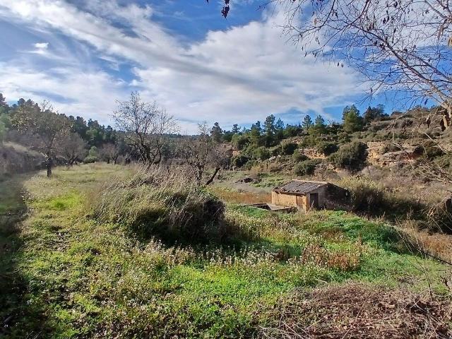 Terreno en venta en Matarraña / Matarranya, Valjunquera