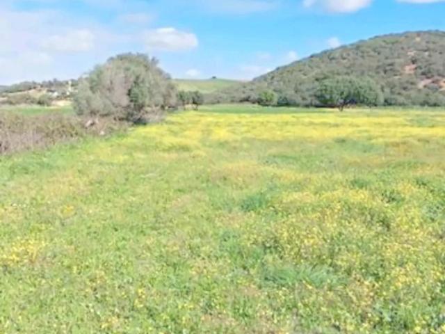Terreno en venta en Los Naveros, La Janda