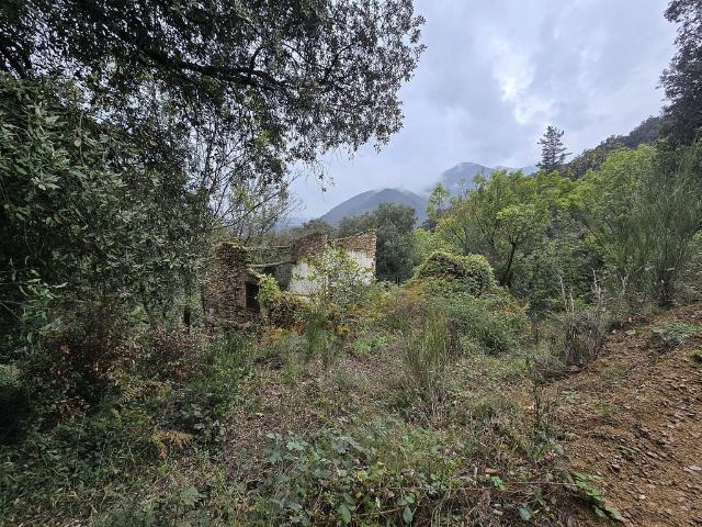 Terreno en venta en la Selva, Catalunya