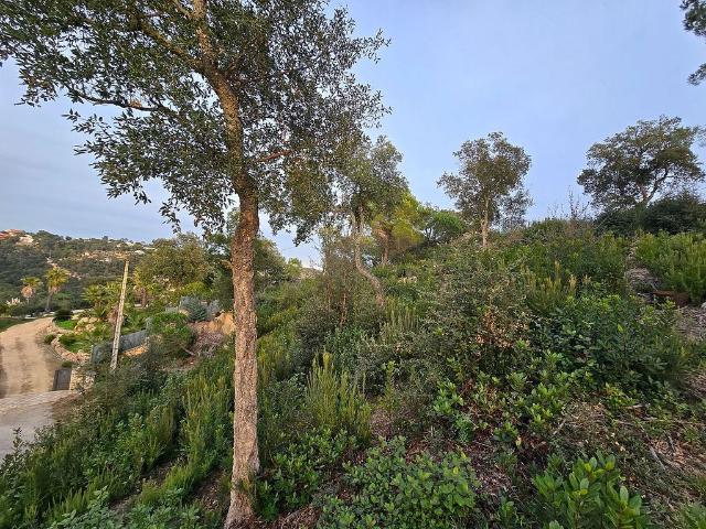 Terreno en venta en la Selva, Catalunya