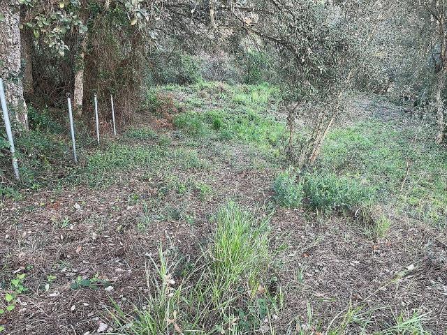 Terreno en venta en Vidreres, Girona