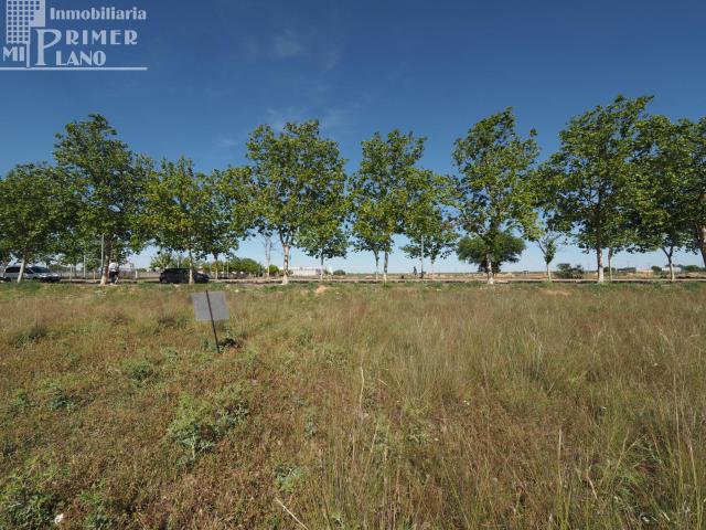 Terreno en venta en Villarrobledo, Castilla-La Mancha