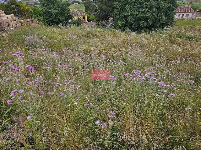 Terreno en venta en Alt Penedès, Catalunya