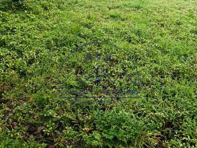 Terreno en venta en Vigo, Galicia