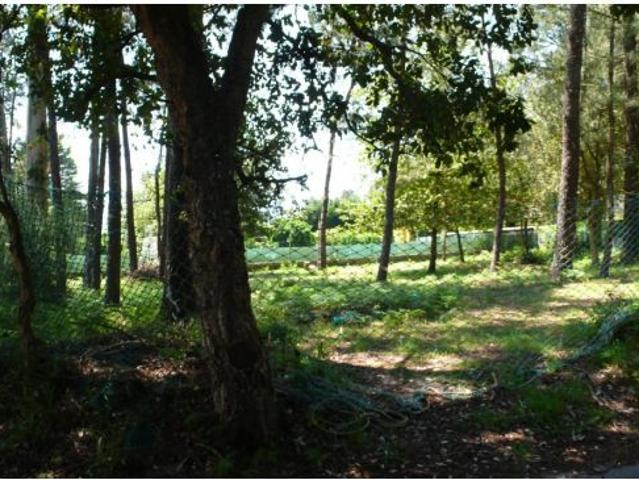 Local Comercial en venta en Vilaza, Gondomar
