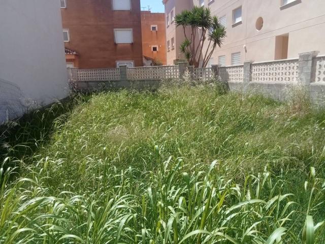 Terreno en venta en Platja de Miramar, la Safor