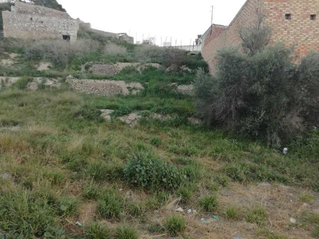 Terreno en venta en Virgen del Oro, Vega Alta del Segura