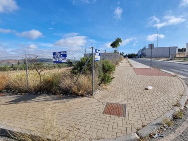 Terreno en alquiler en Lucena, Andalucía