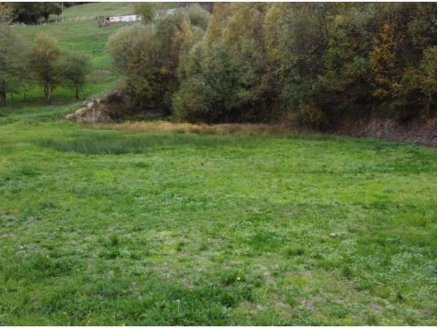 Local Comercial en venta en Tineo, Asturias