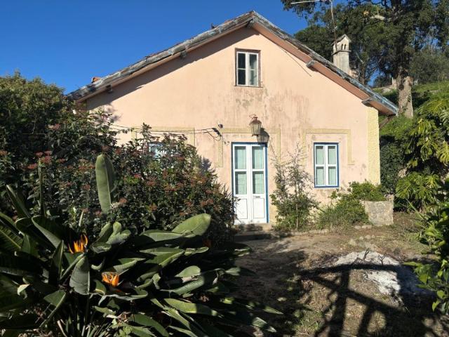 Monte venda em Monchique, Ceiceira