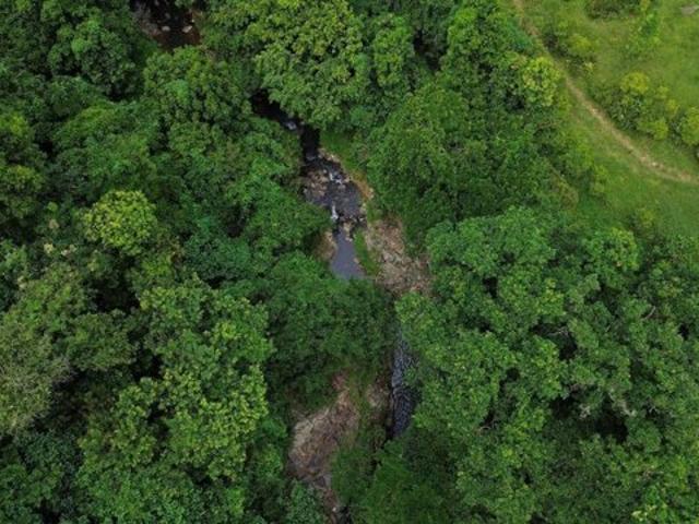 Land for sale in Rio Grande Land for sale in Rio Grande