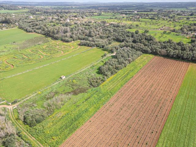 Terreno en venta en Sencelles