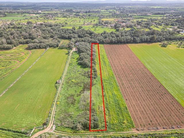 Terreno en venta en Sencelles