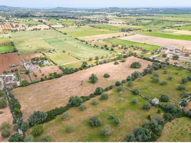 Local Comercial en venta en Manacor, Llevant