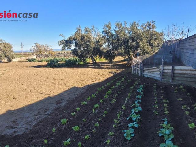 Terreno en venta en Pozoblanco, Andalucía
