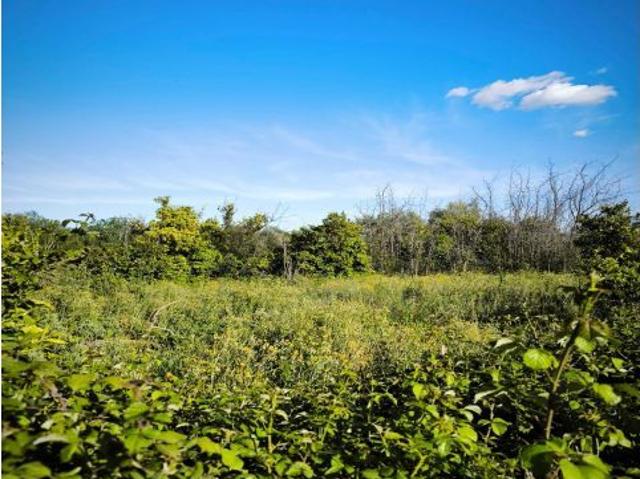 Local Comercial en venta en La Ñora, Área Metropolitana de Murcia