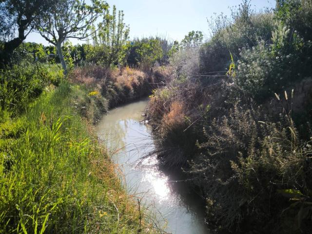 Terreno en venta en Rincón de Beniscornia, Área Metropolitana de Murcia