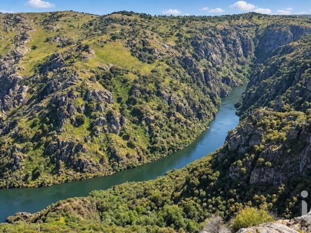 Quinta venda em Bemposta, Mogadouro