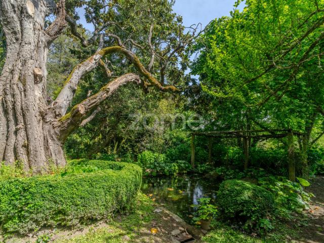 Quinta venda em Viseu
