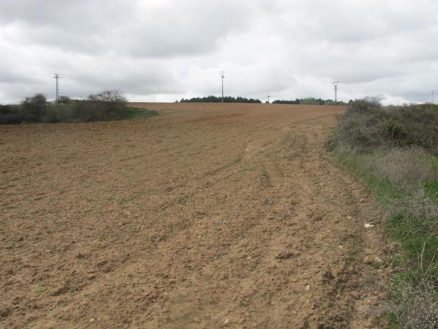 Terreno en venta en Centro, Burgos