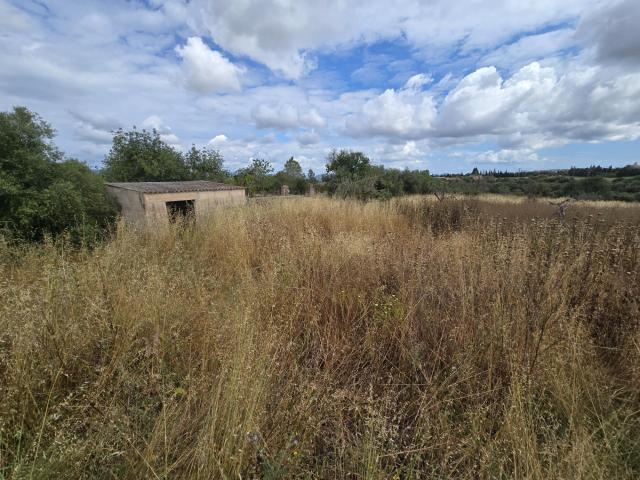 Terreno en venta en Llubí Terreno en venta en Llubí