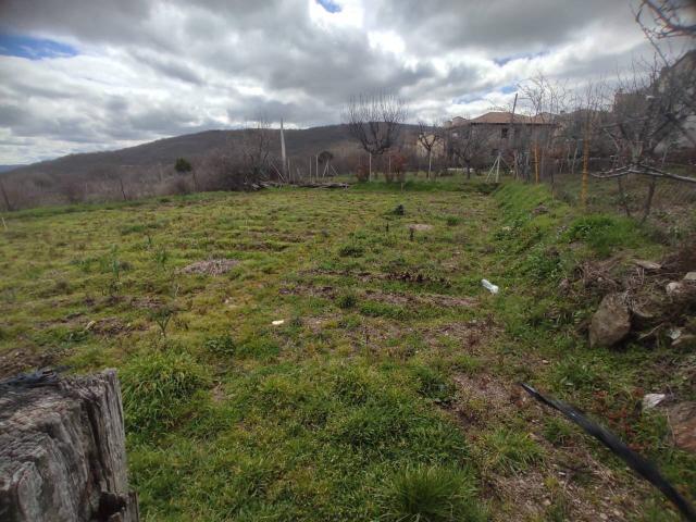 Terreno en venta en Navarredonda Y San Mamés, Navarredonda