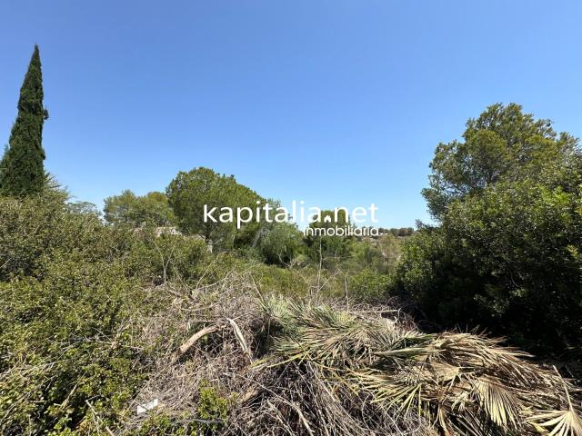 Terreno en venta en la Ribera Alta, Valencia