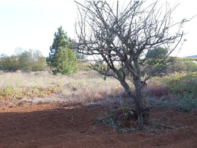 Local Comercial en venta en Tacoronte, Canarias