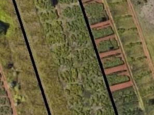 Terreno en venta en Tacoronte, Canarias