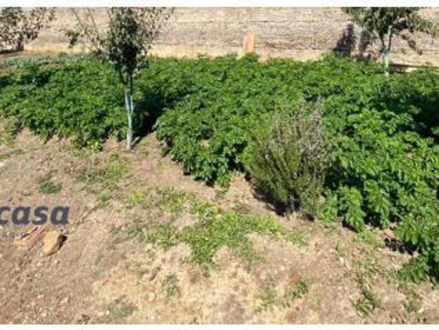 Local Comercial en venta en Belmez, Andalucía