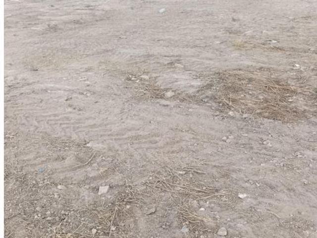 Local Comercial en venta en Bullas, Región de Murcia