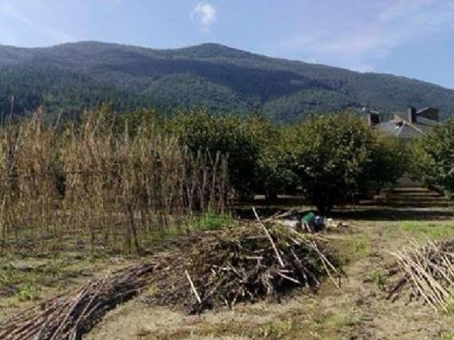 Terreno en venta en Amer, Urbanització Solivent