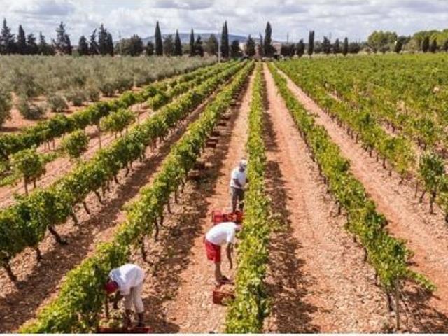 Local Comercial en venta en Raiguer, Baleares