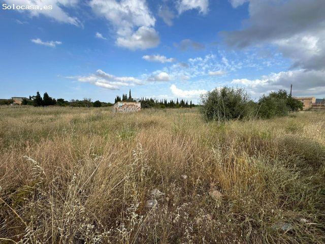 Local Comercial en venta en Hostals, Raiguer