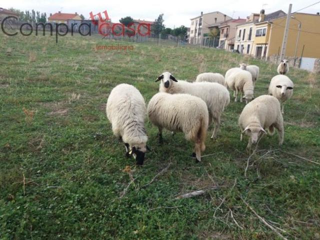 Local Comercial en venta en Sexmo de San Martín, Zarzuela del Monte