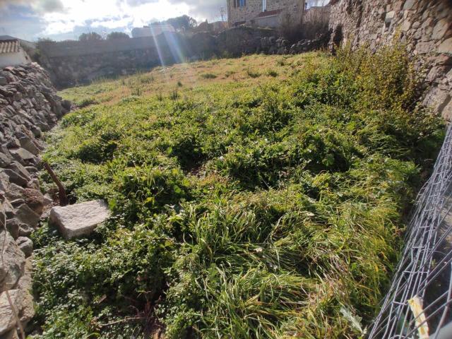 Terreno en venta en Lozoyuela-navas-sieteiglesias