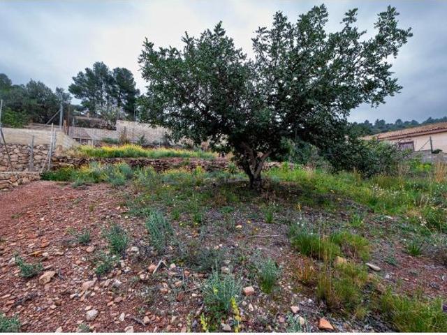 Local Comercial en venta en el Camp de Morvedre, Valencia