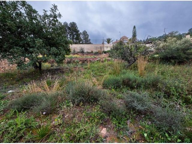 Local Comercial en venta en el Camp de Morvedre, Valencia