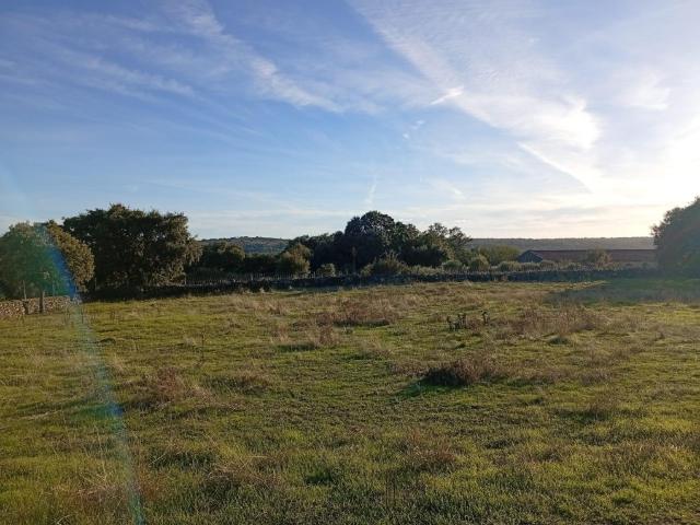 Terreno en venta en Bermellar, Castilla y León