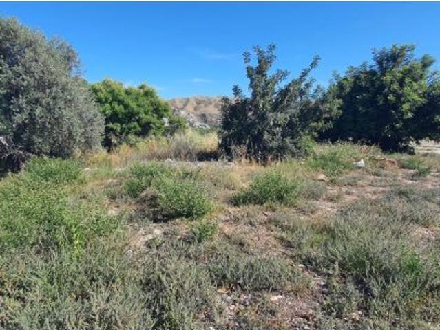 Local Comercial en venta en Valle del Almanzora, Andalucía