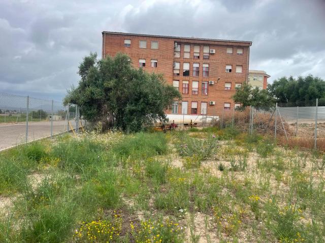 Terreno en venta en la Ribera Alta, Valencia