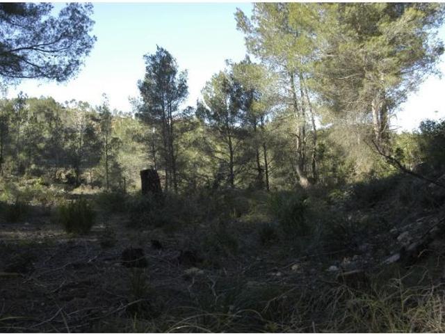 Local Comercial en venta en Garraf, Catalunya