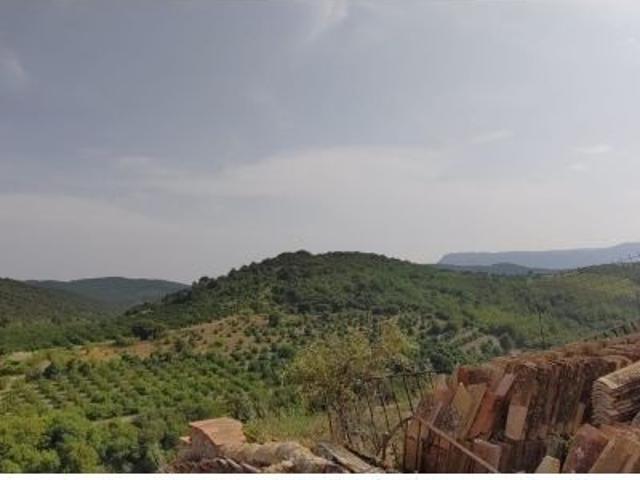 Local Comercial en venta en Conca de Barberà, Catalunya
