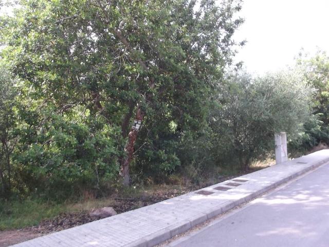Terreno en venta en la Plana Alta, Valencia