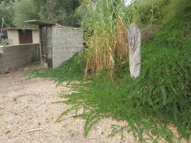 Terreno en venta en Serra de Tramuntana, Baleares