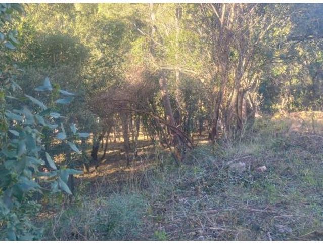 Local Comercial en venta en sa Riera, Baix Empordà