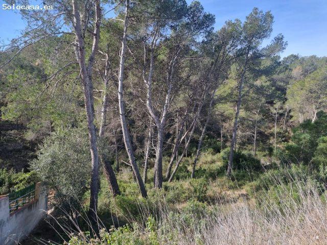 Local Comercial en venta en Baix Penedès, Catalunya