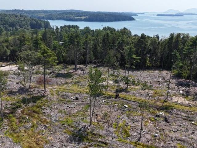Land for sale in Sullivan, Maine