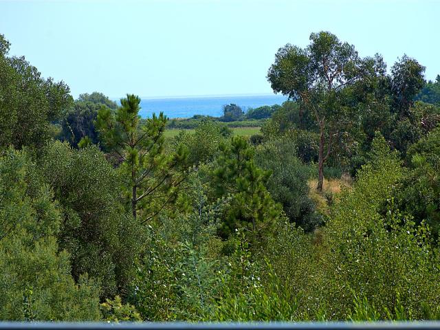 Maison vente à Corte, Solaro